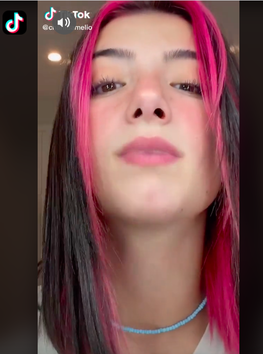 Charli Damelio La Regina Di Tiktok Stufa Di Tiktok Light Words